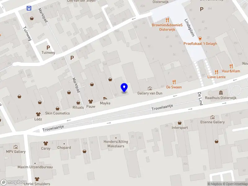 Panis eyewear Den Bosch B.V. Oisterwijk