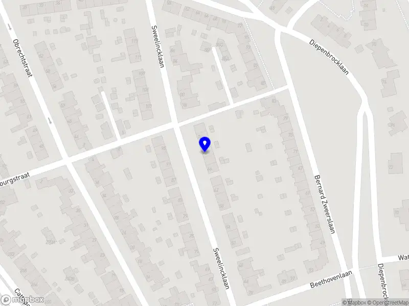 Orit Yashfe Rise in Roots