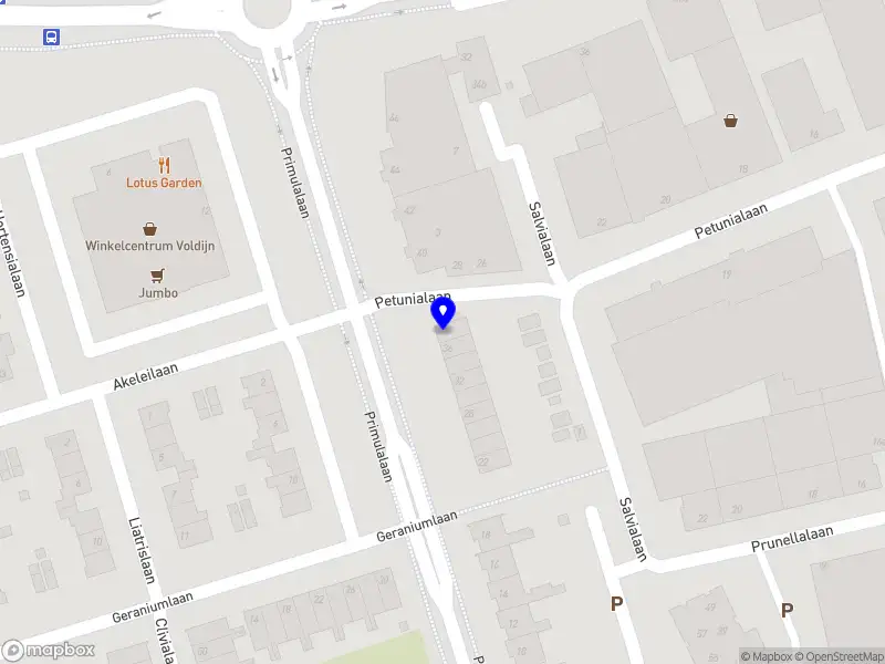 Nieuw bedrijf Statuur Vastgoedontwikkeling B.V.