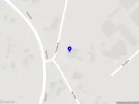 Sophie van den Bosch