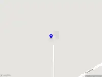 Plantago Lanceolata B.V.