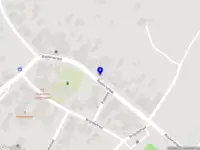 Marina's Dog Guidance