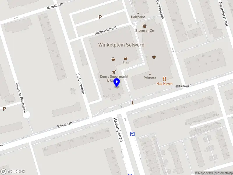 DMJ Waarneming Groningen