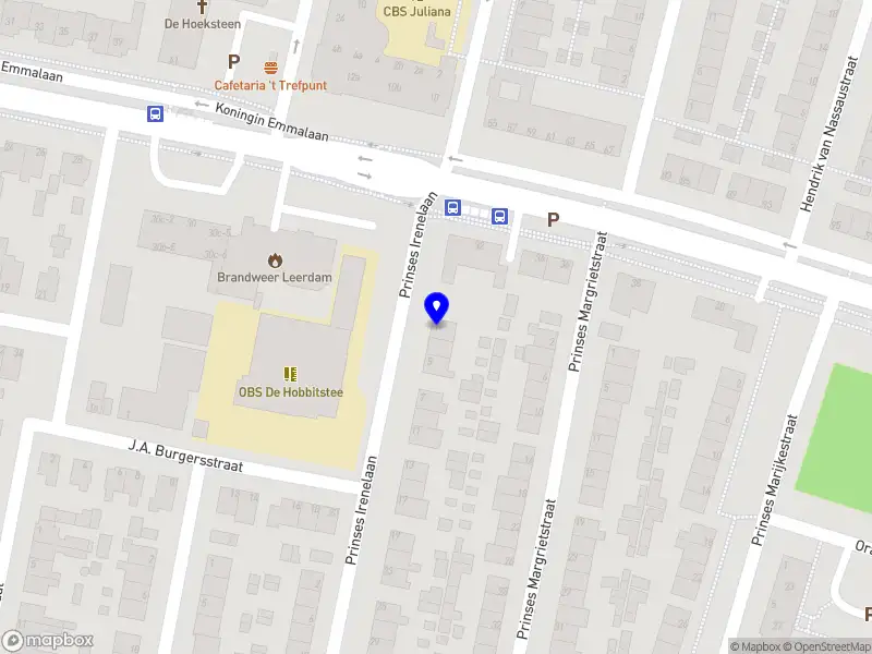 Starling and Pheasant