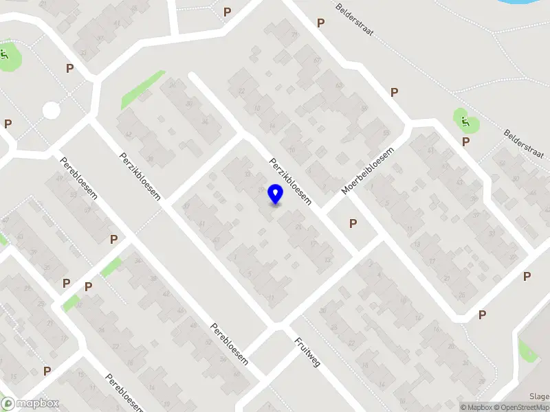 Nederlandse Carnavals Vrienden