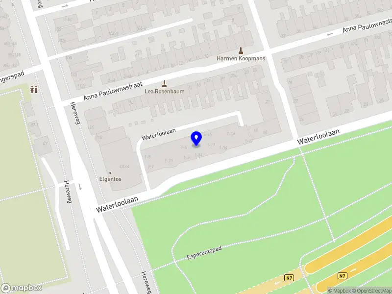Liefs Dotje Groningen