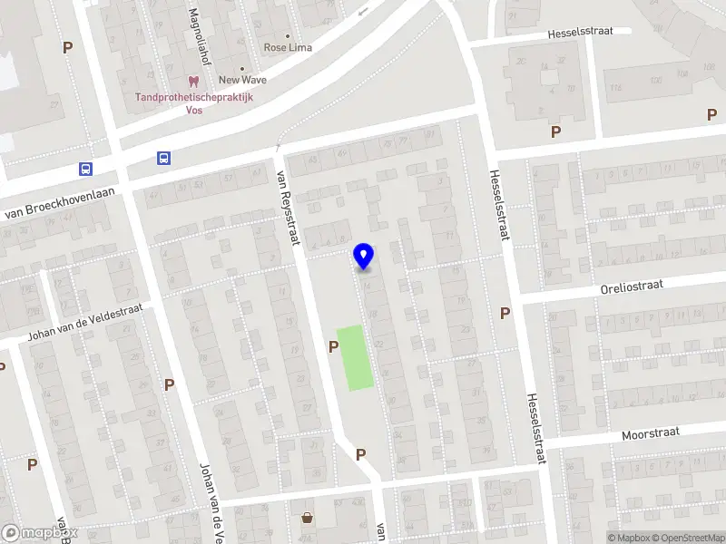 Dakrenovatie NL 's-Hertogenbosch
