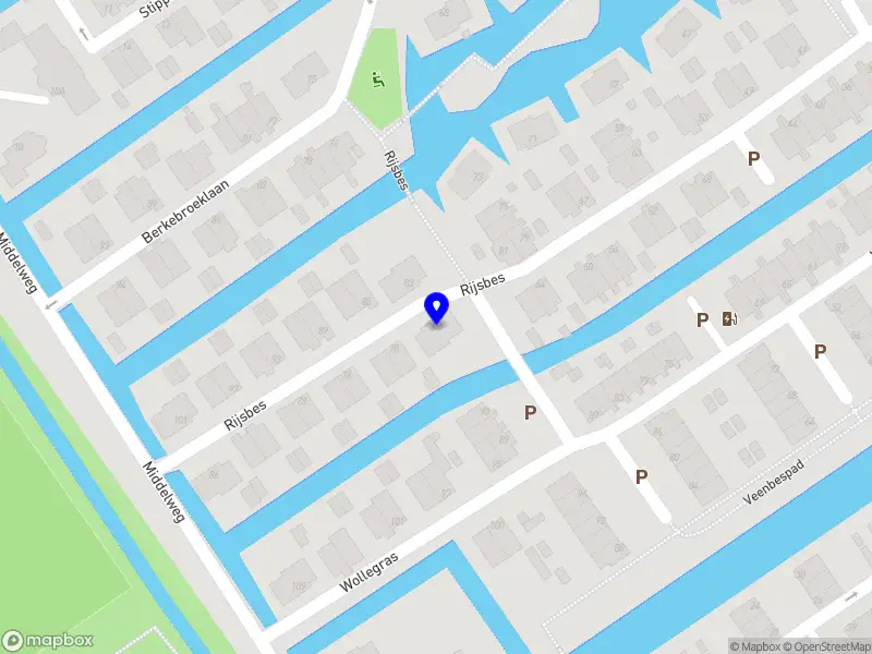 Nieuw bedrijf Leia Czarik