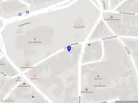 Joost Lommers, Loopbaanadviseur