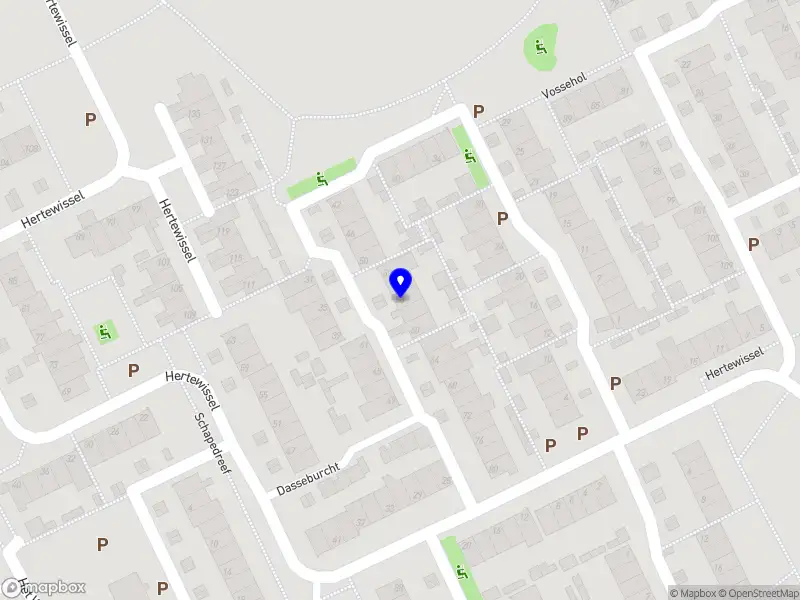 Maalin Dakdekkers Holding B.V.