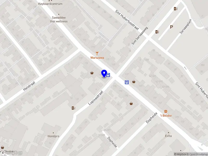 Nieuw bedrijf Nicolea Resolutions