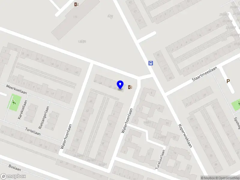 Wim van Hout training & advies