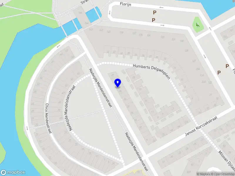 Zifaru Amsterdam