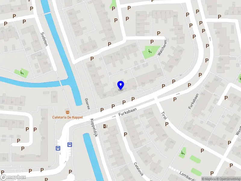 Nieuw bedrijf The Wild Sovereign Soul