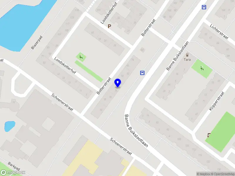 Francis A.S. Amsterdam
