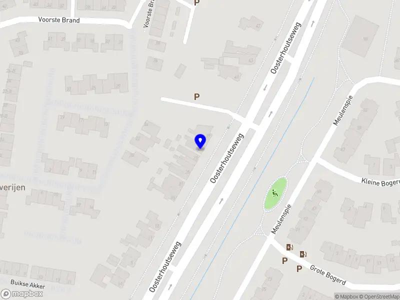 Moeders leeft bewust