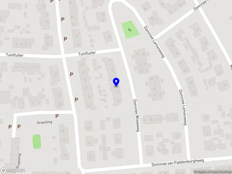 Aniek Hop Stageworkx