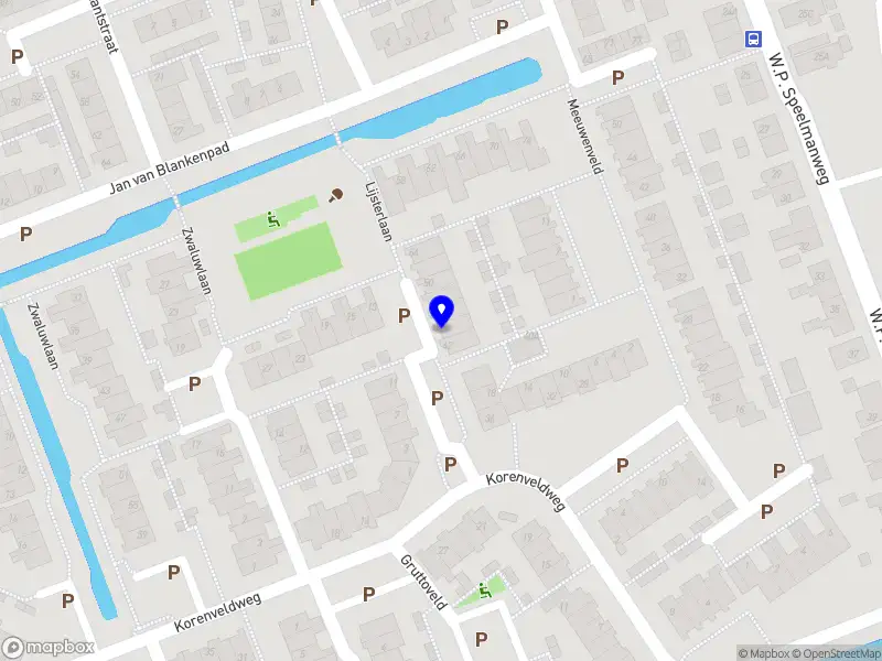 Straat Taxi B.V. Nieuwveen