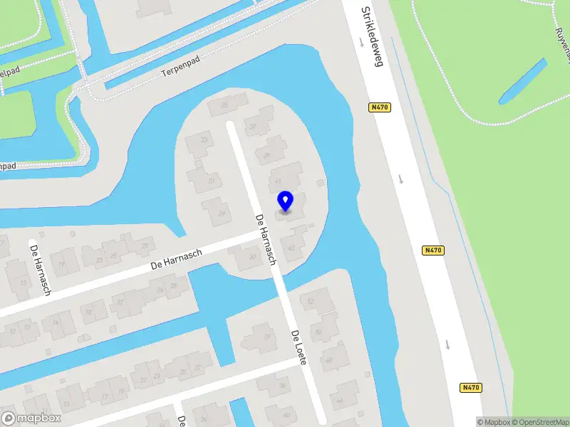 Stijndeduif C.V. Pijnacker