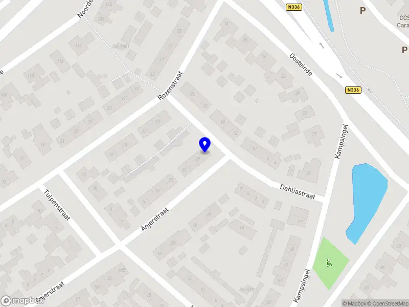 Femke van Veldhuizen