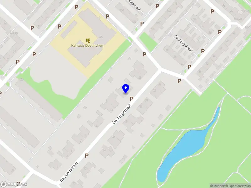 Fruit en Laanbomen Snoei Doetinchem