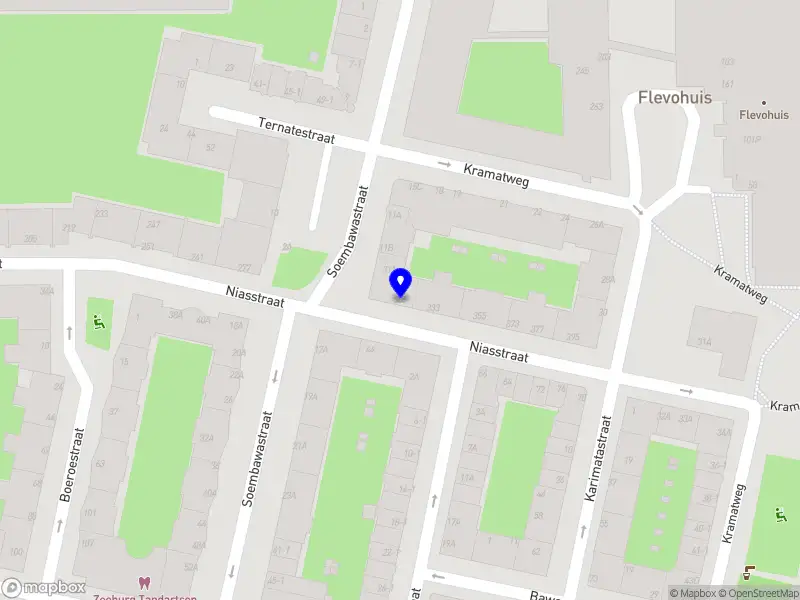 Merve Security Amsterdam