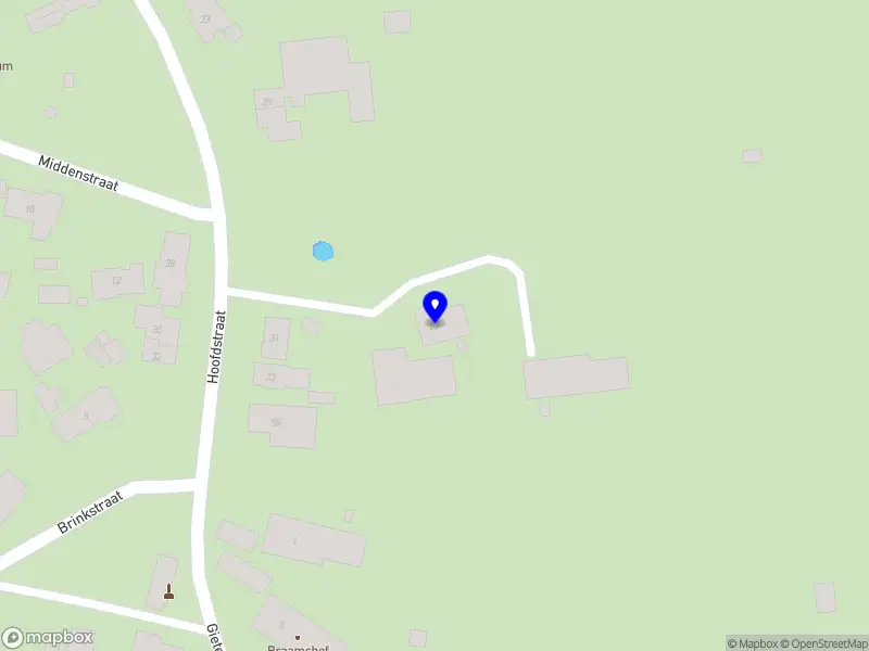 H. Brinks en A.M.B. Brinks-Super