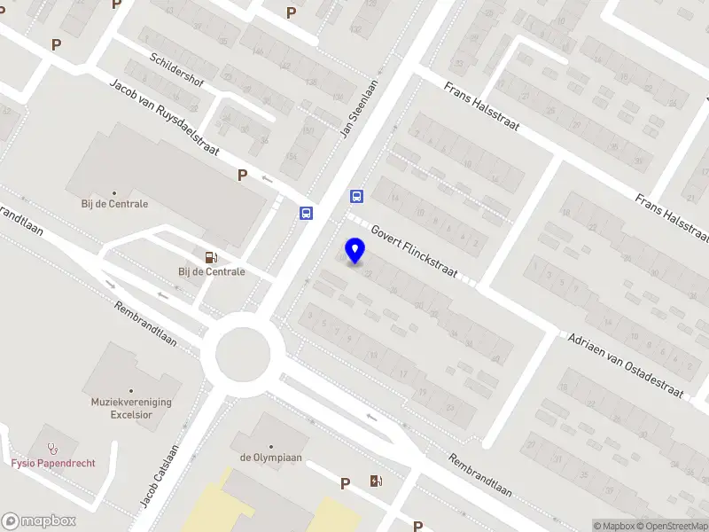 Optiborg Procesadvies