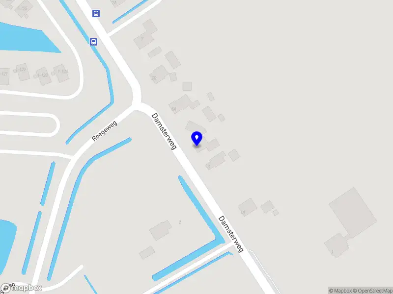 Flora Systemic Coaching