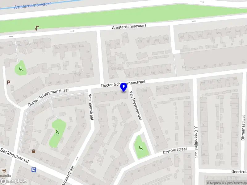 Nieuw bedrijf Dolphin healing therapy