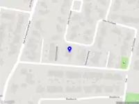 Thuisdier dierverzorging