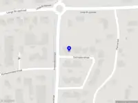 Chameleon consultancy