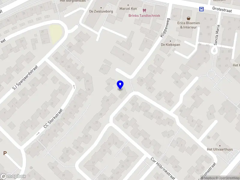 Stichting Volwassen Prematuur