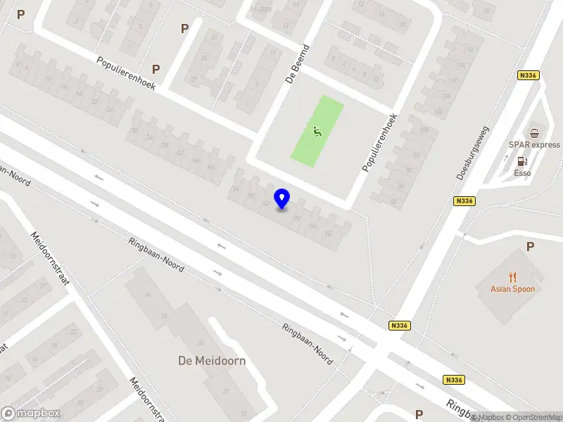 Tolk en vertaler Orysia van der Heijden