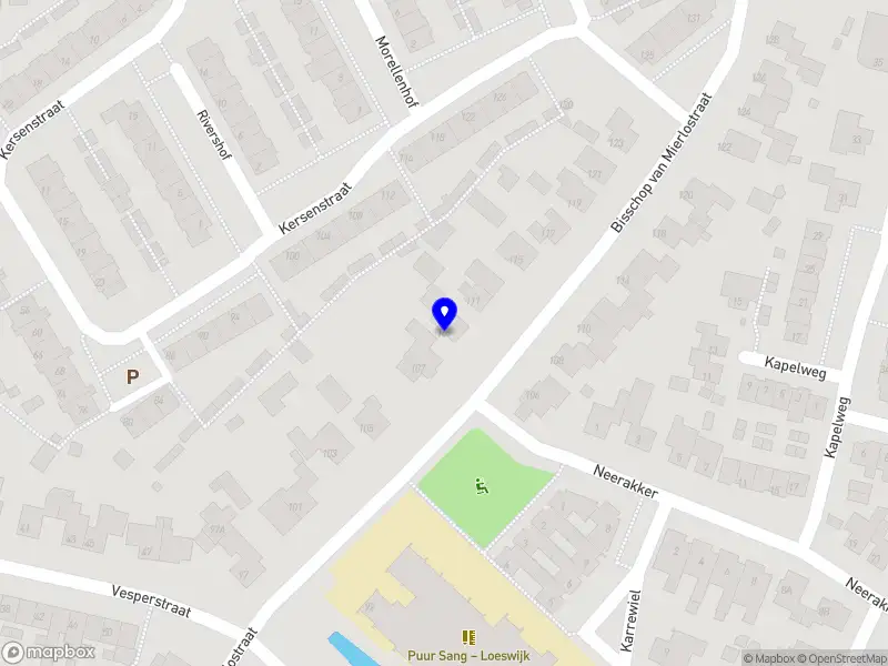 Martens Timmer en Montage