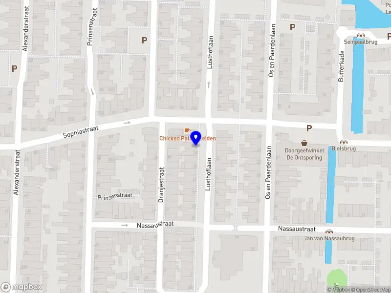 Nieuw bedrijf Pioneer Editing Consultancy