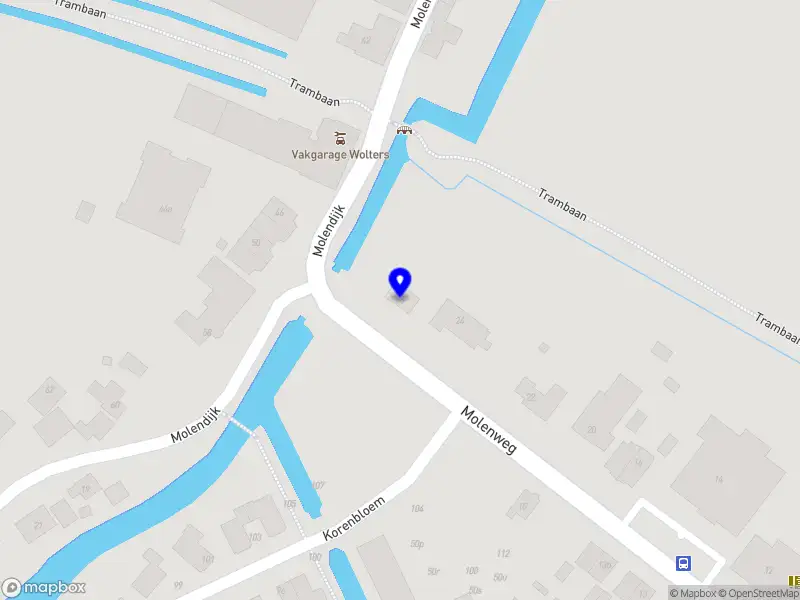 boom en stronk verwijderen Oudenhoorn