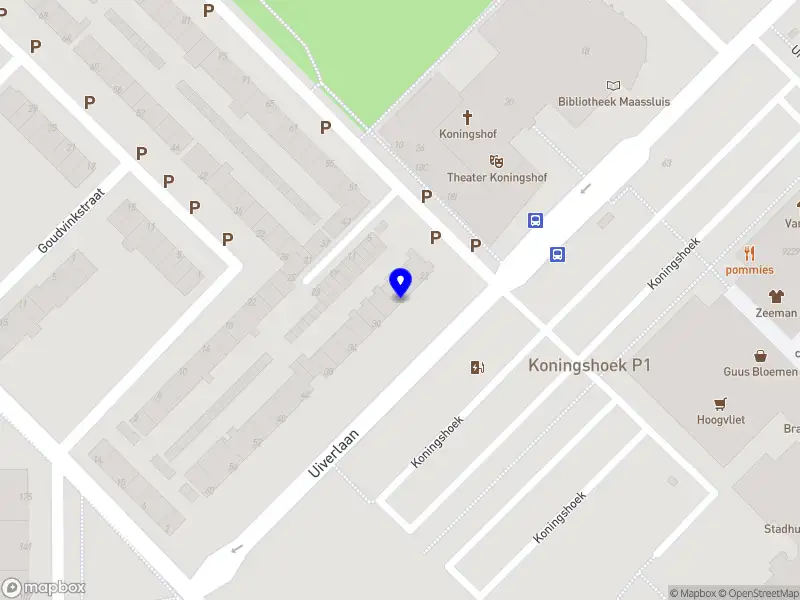 Corsa Praktijk voor Beweging Maassluis