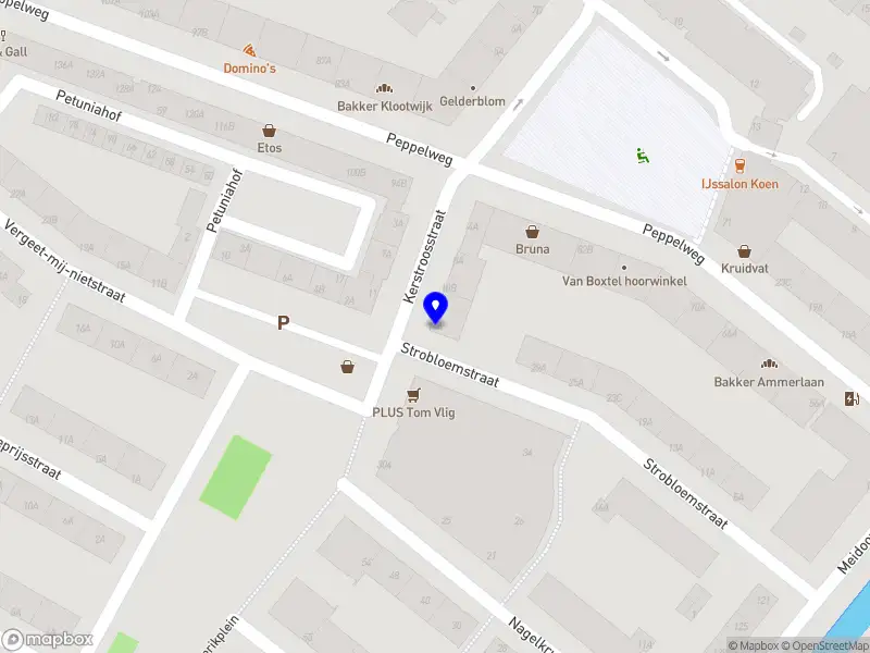 Brightside Cleaning Services Rotterdam