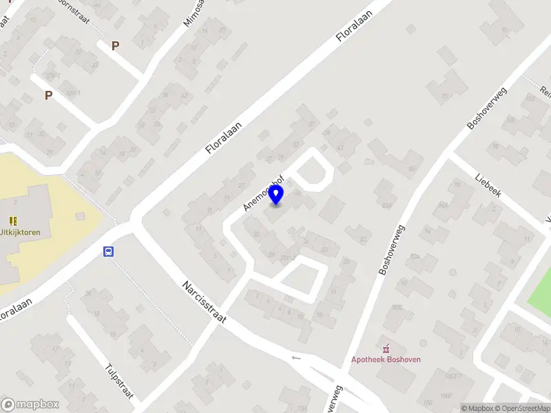 Hair & Lashes by Jill