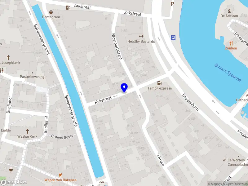 Untamed Projects Haarlem