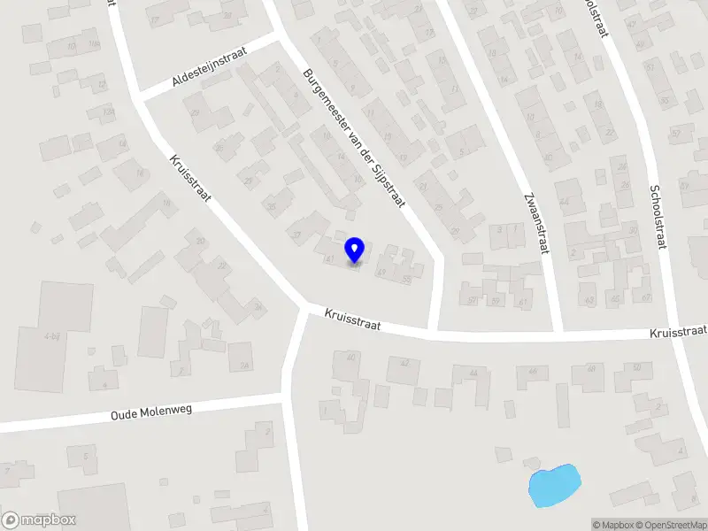 Nieuw bedrijf Mini Maxi Dogs