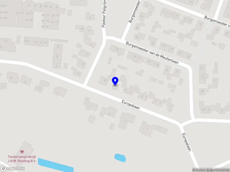 Nieuw bedrijf Gutsie