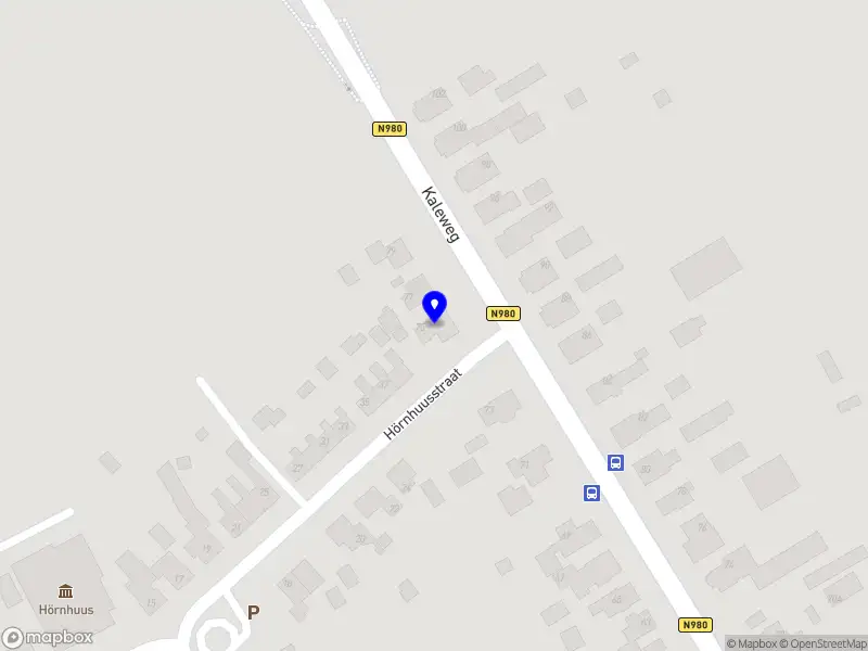 De Jong Service Kornhorn