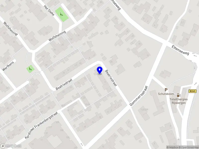 Royal Palm Cares Foundation | Stichting