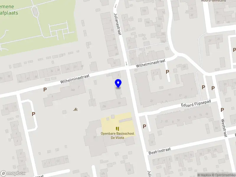 Perfect schilders & decoratie