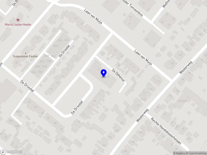 Folieballon Nederland