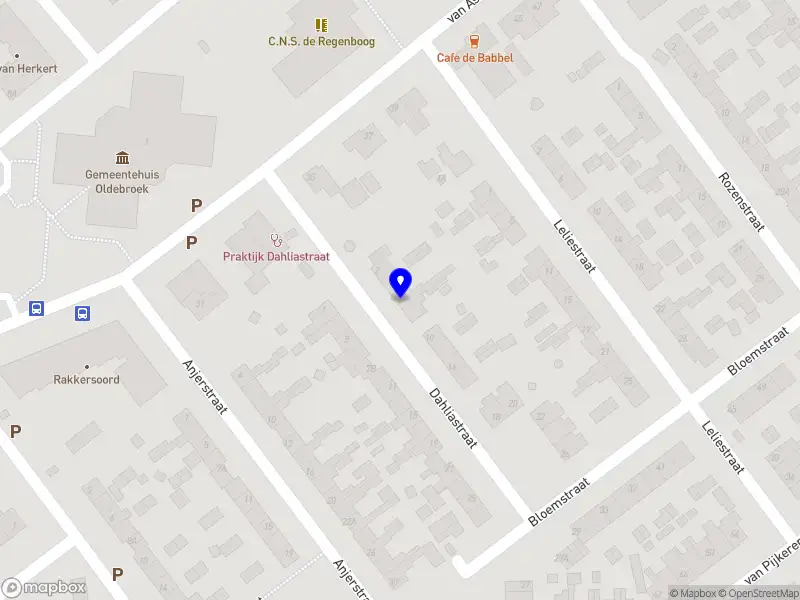 Bosbistro Dennenrhode