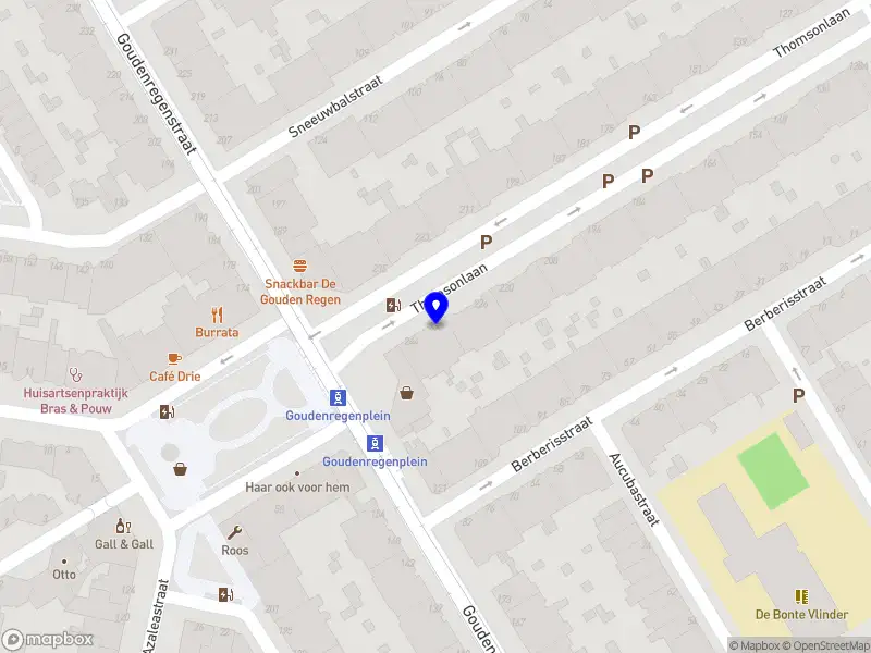 Nieuw bedrijf Goldberg Gallary