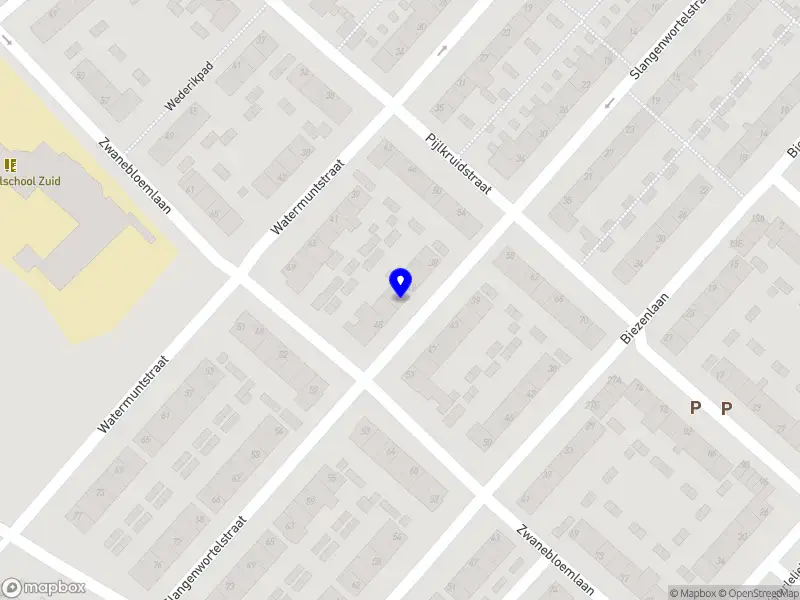 Latisha Antonia Arnhem